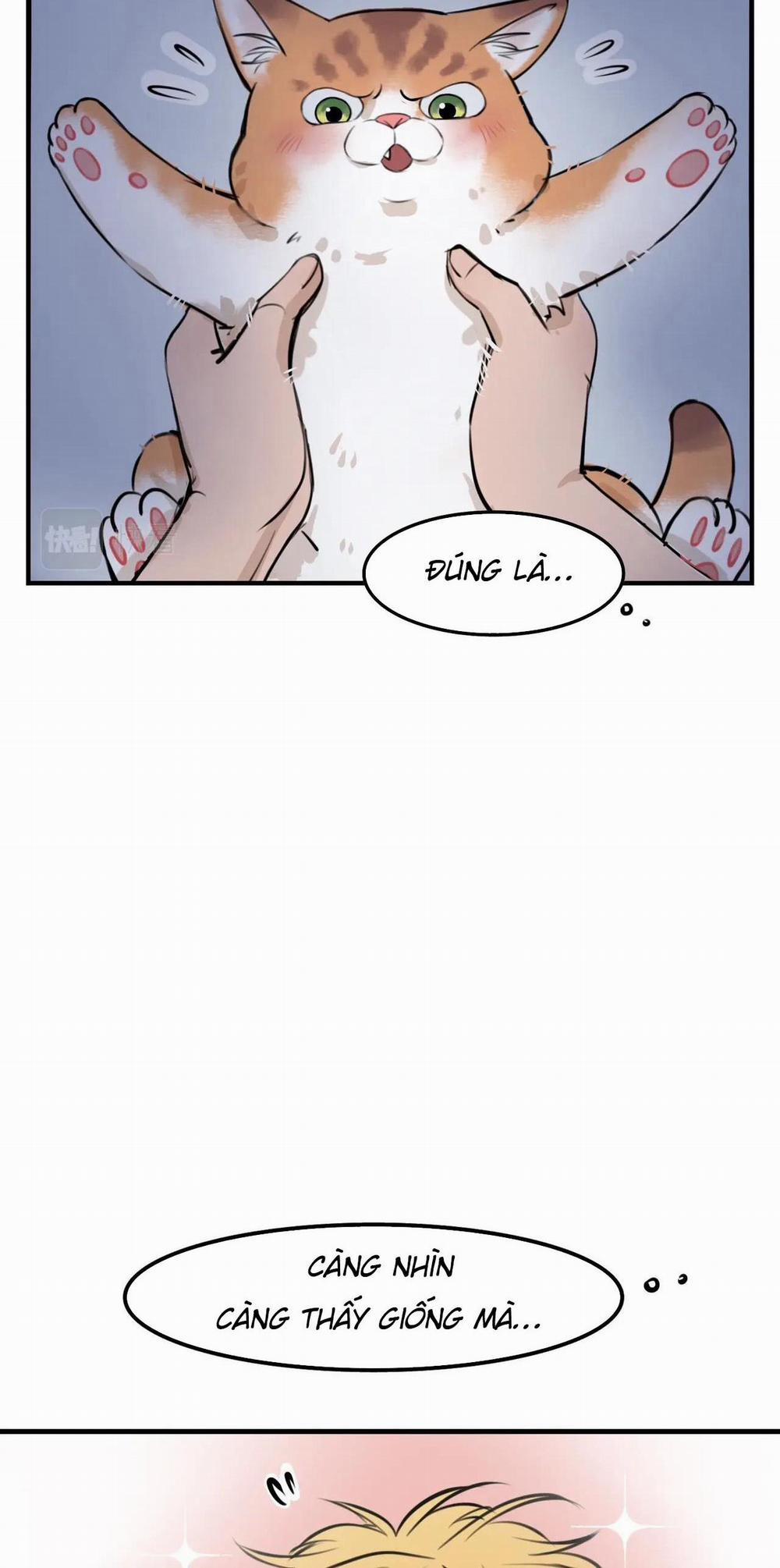 Rốt Cuộc Mèo Con Đang Nghĩ Gì Thế? 4 trang 15