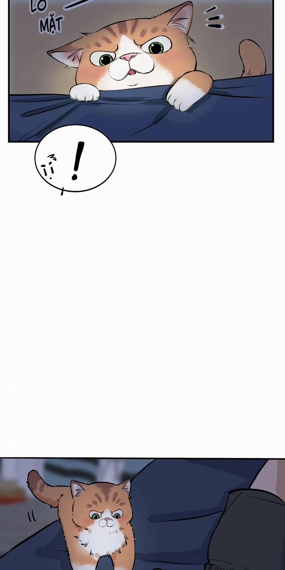 Rốt Cuộc Mèo Con Đang Nghĩ Gì Thế? 4 trang 9