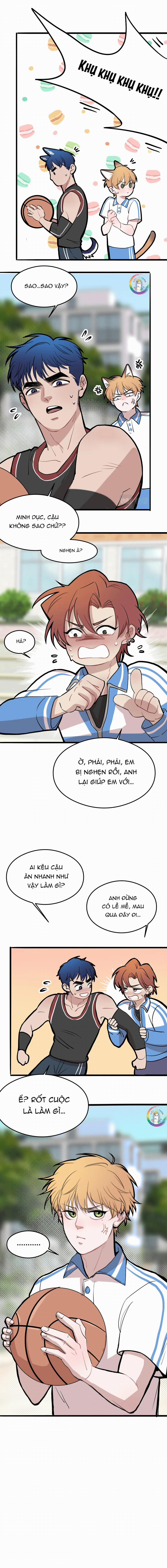 Rốt Cuộc Mèo Con Đang Nghĩ Gì Thế? 8 trang 29