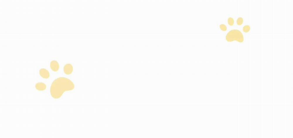 Rốt Cuộc Mèo Con Đang Nghĩ Gì Thế? 8 trang 34