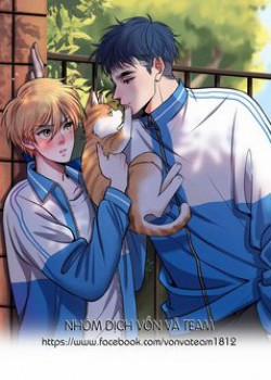 Đọc truyện tranh Rốt Cuộc Mèo Con Đang Nghĩ Gì Thế?