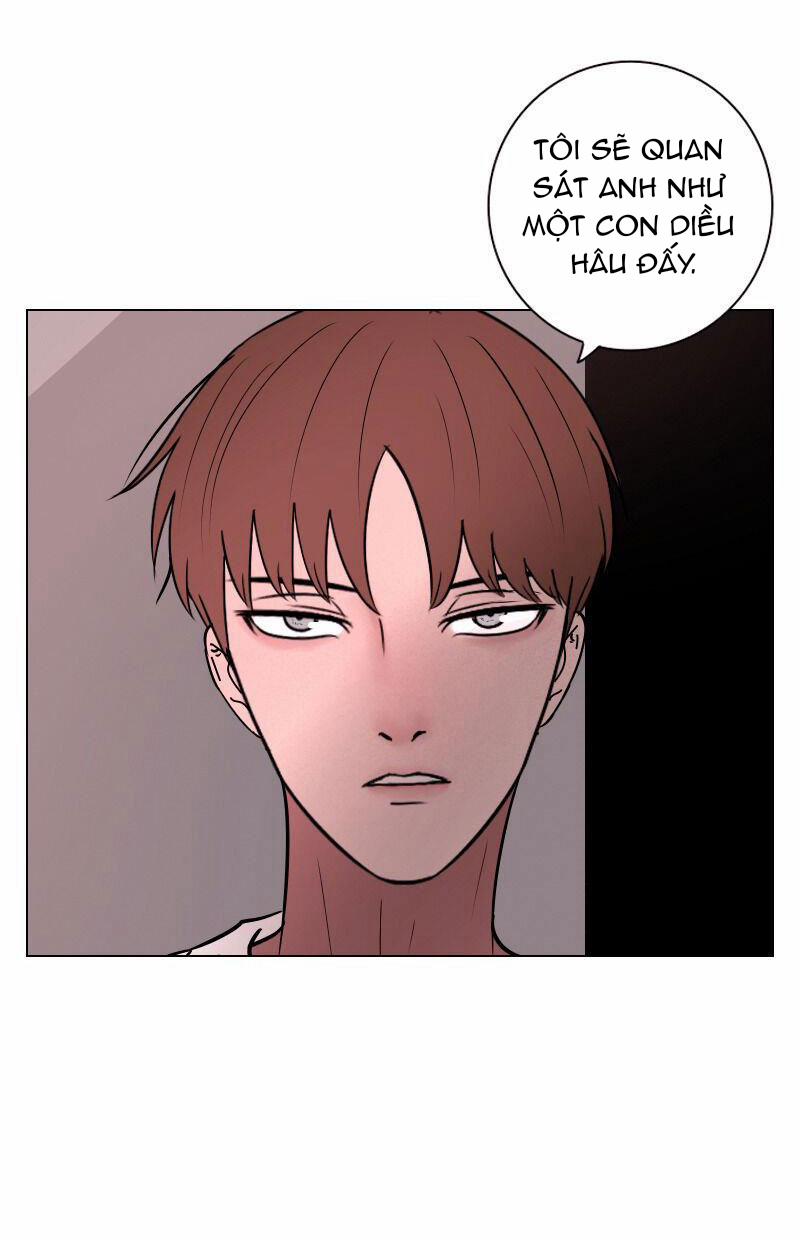 Rumor Has It 19 trang 45