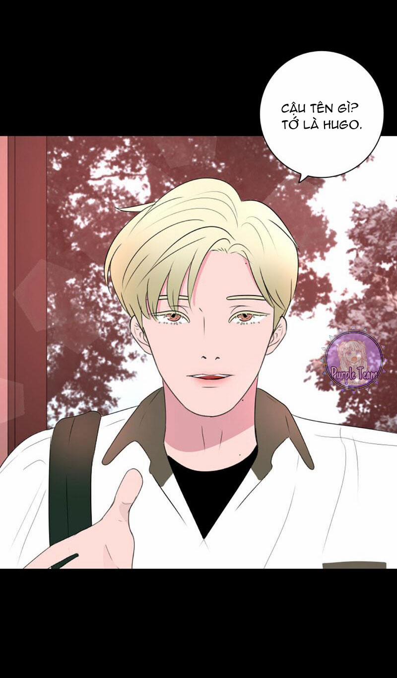 Rumor Has It 31 trang 13