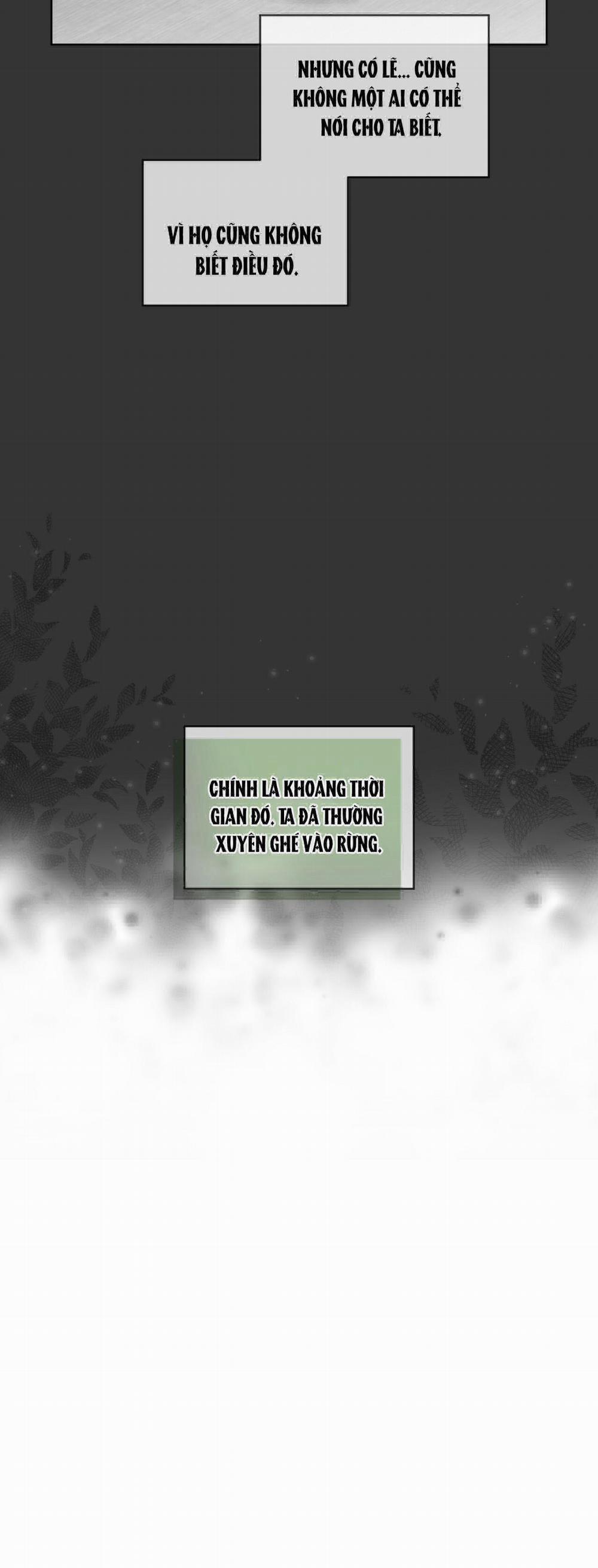 Rừng Biển 10 trang 22