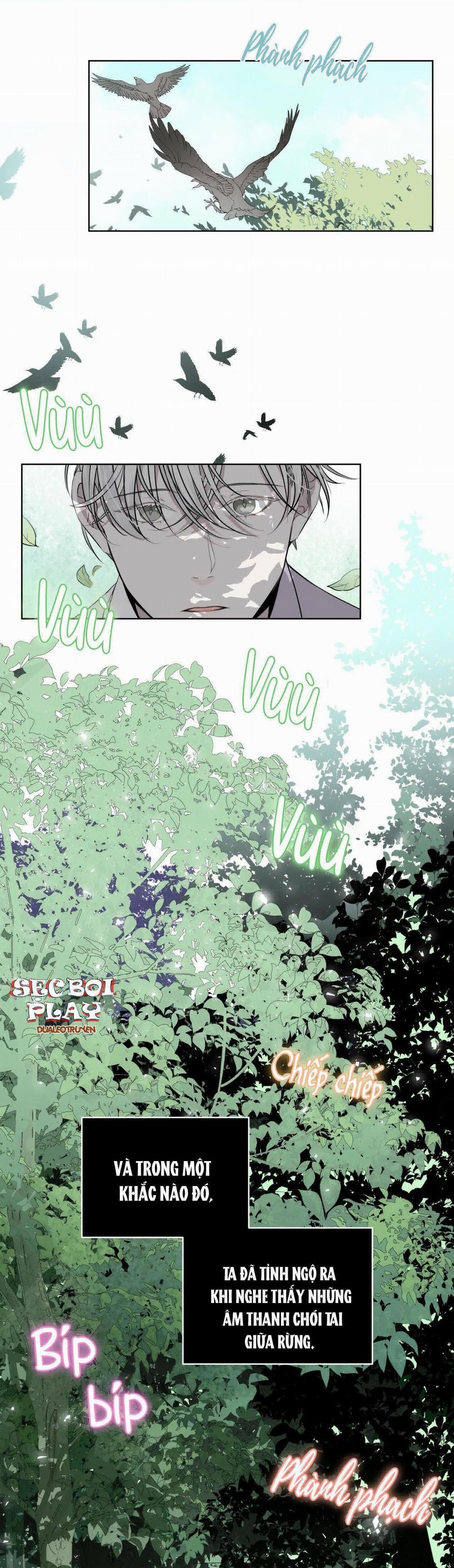 Rừng Biển 11 trang 1