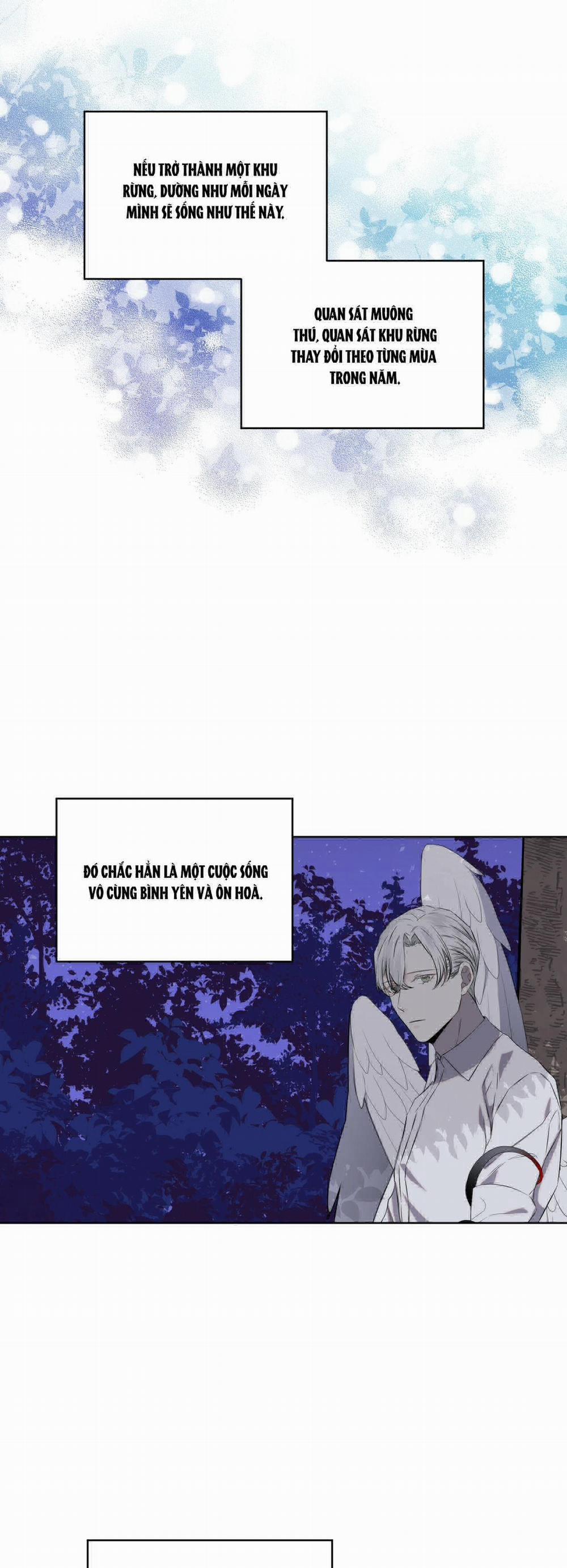 Rừng Biển 15 trang 2