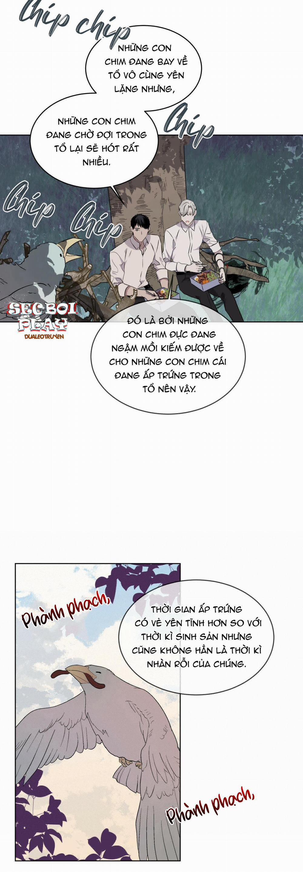 Rừng Biển 16 trang 23