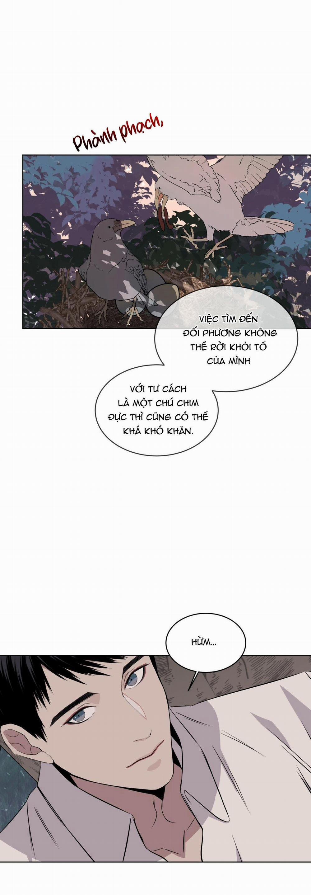 Rừng Biển 16 trang 24