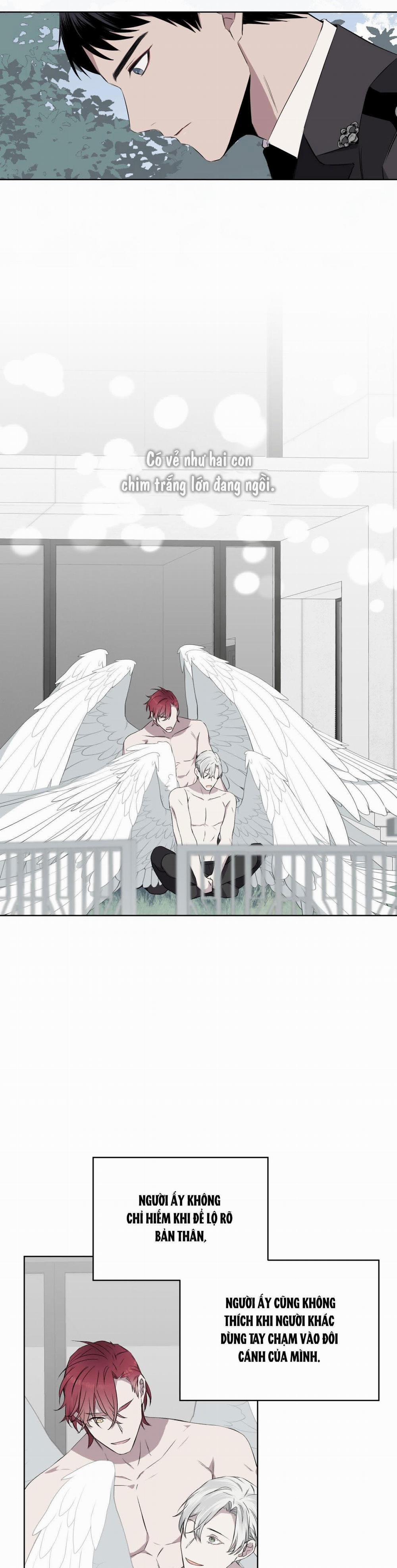 Rừng Biển 22 trang 26