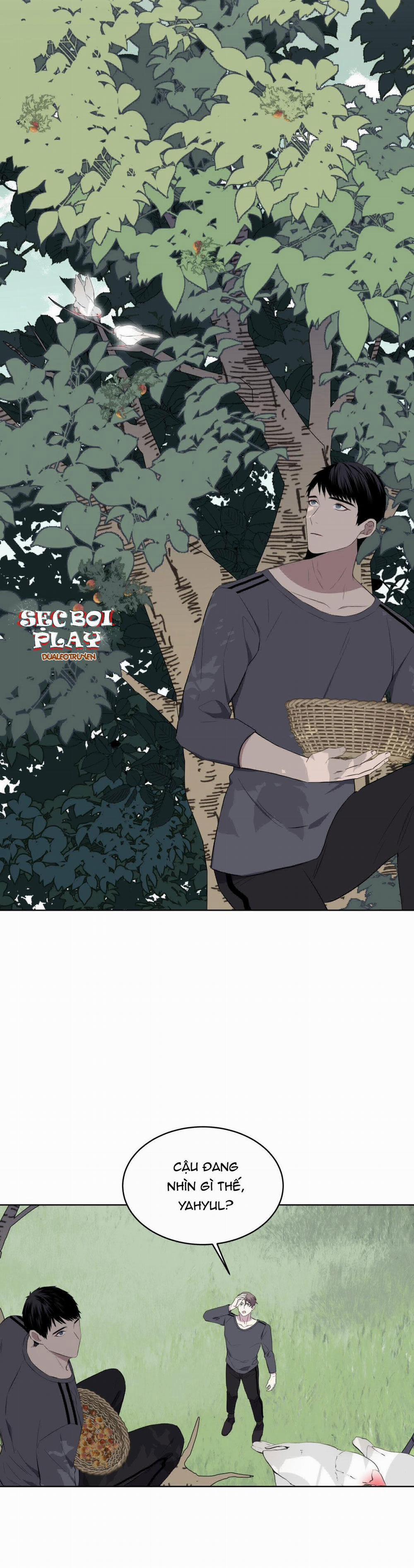 Rừng Biển 24 trang 28