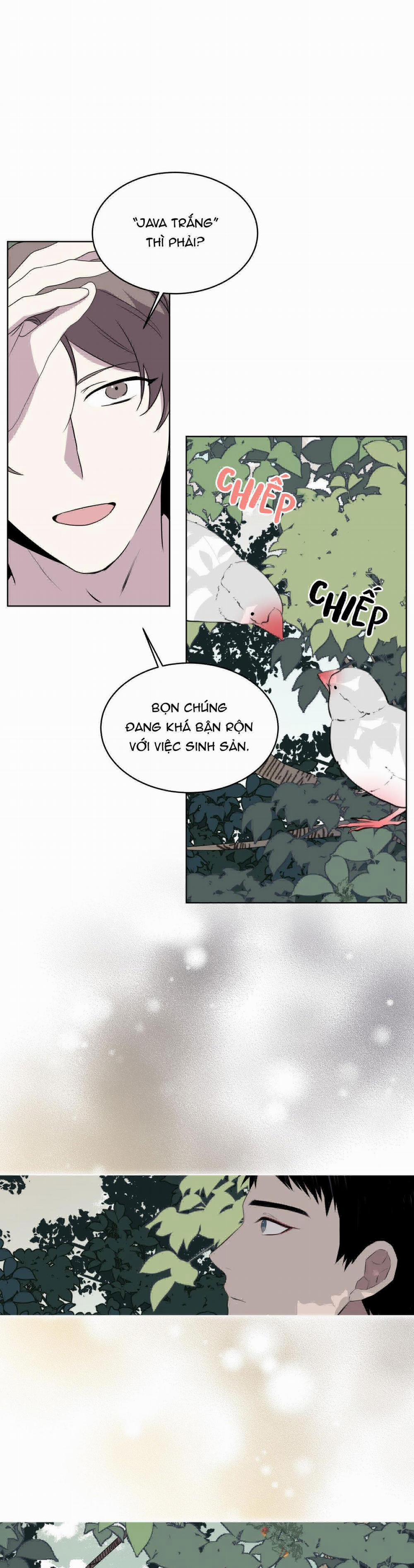 Rừng Biển 24 trang 29