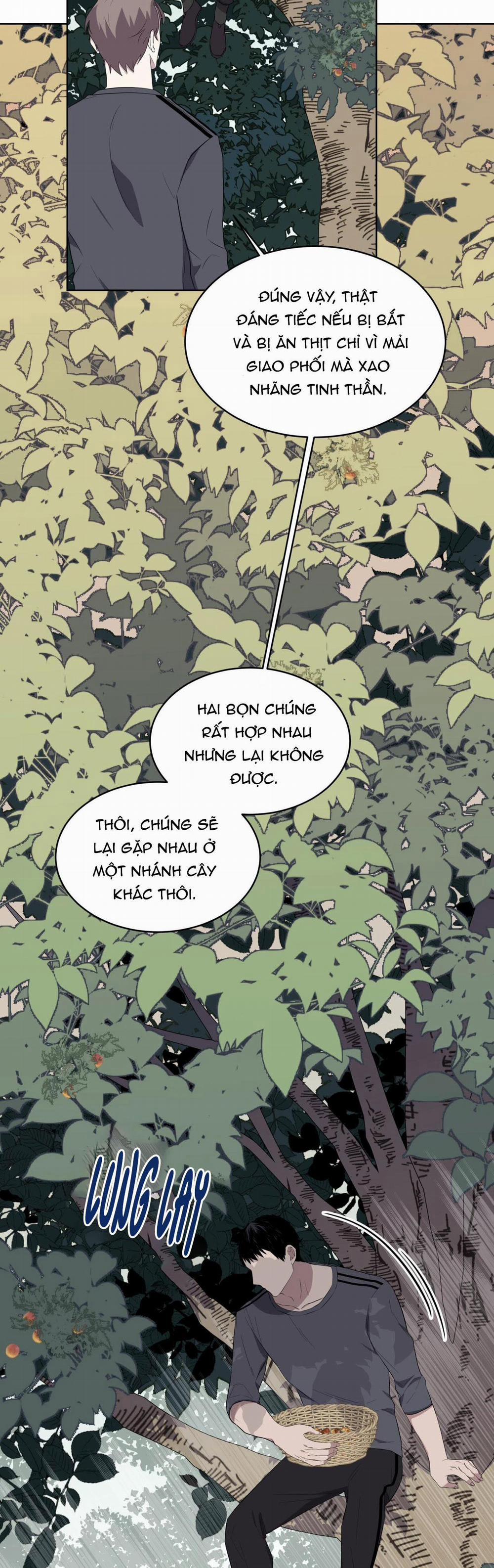 Rừng Biển 24 trang 33