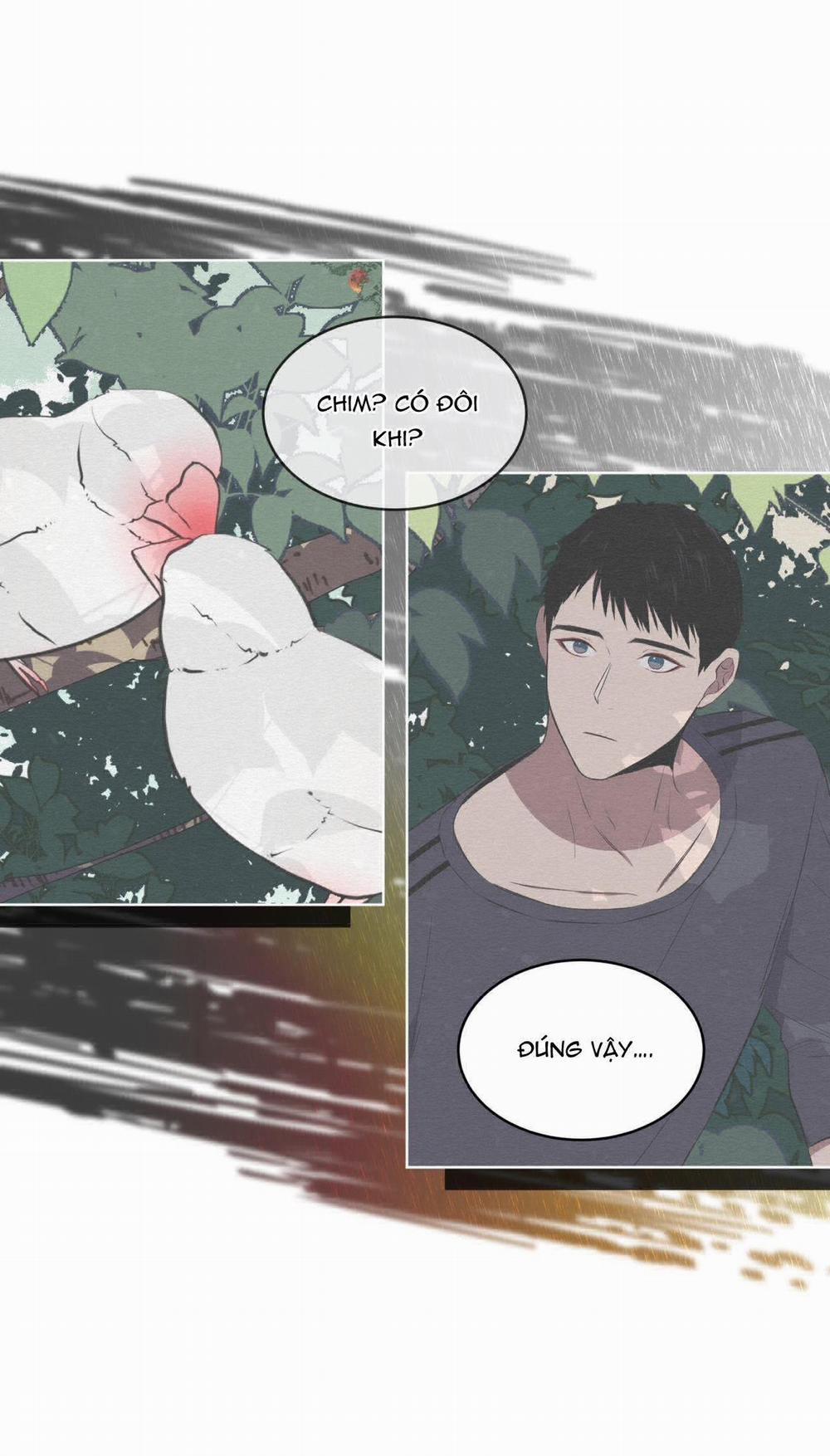 Rừng Biển 25 trang 27