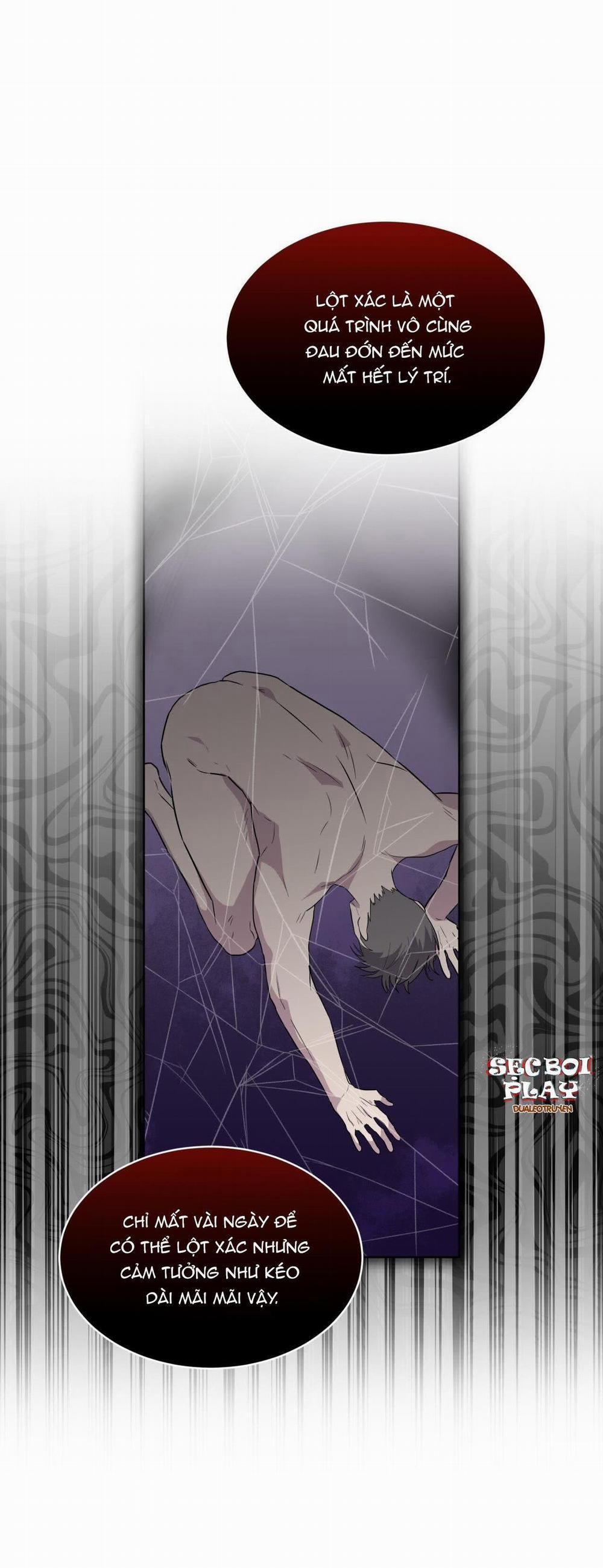 Rừng Biển 25 trang 41