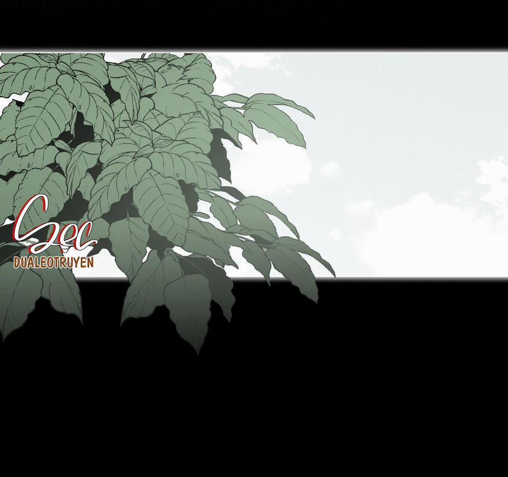 Rừng Biển 36 trang 7