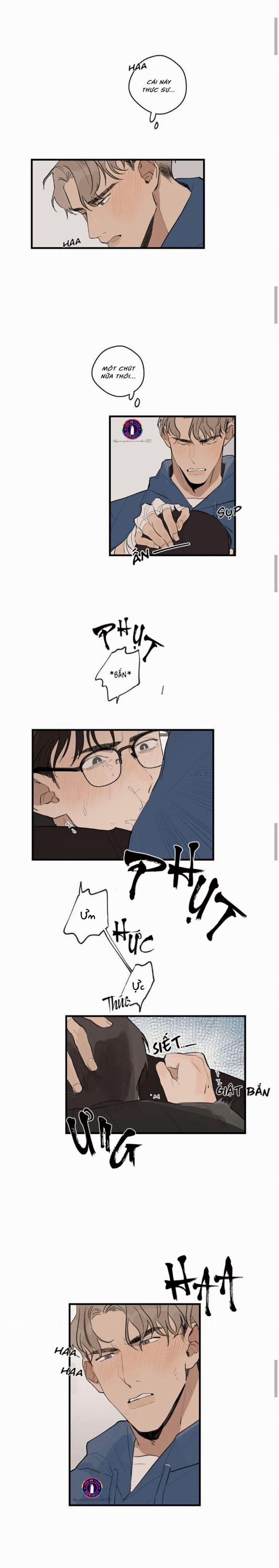 Runway Hit 19 trang 6