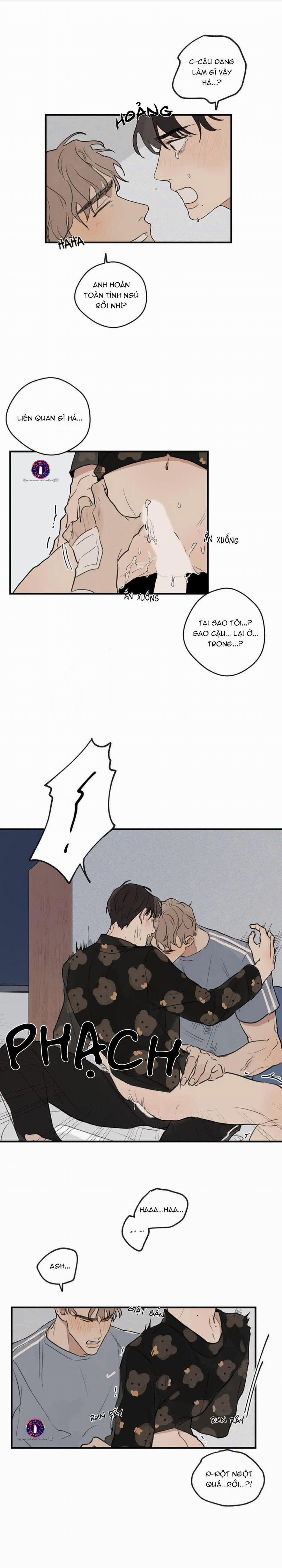 Runway Hit 25 trang 8