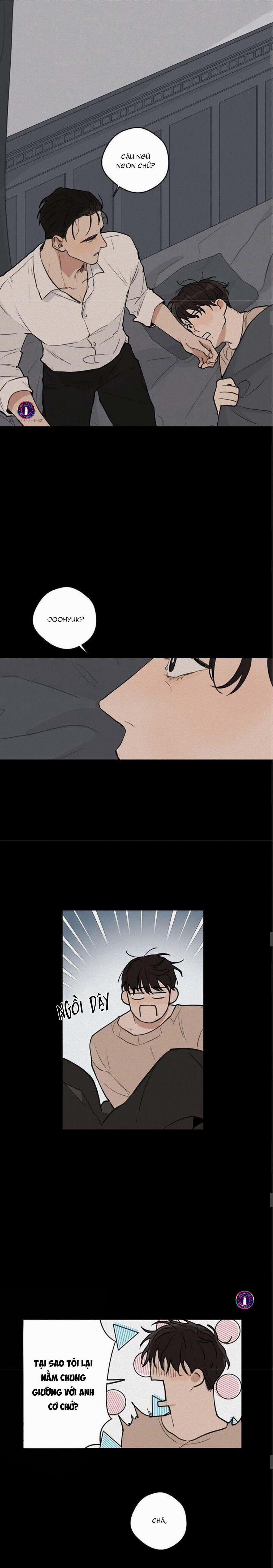 Runway Hit 27 trang 8