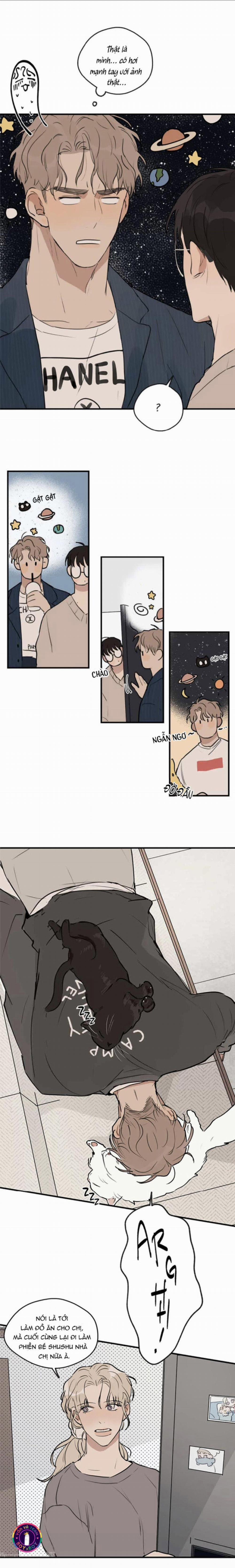 Runway Hit 31 trang 15