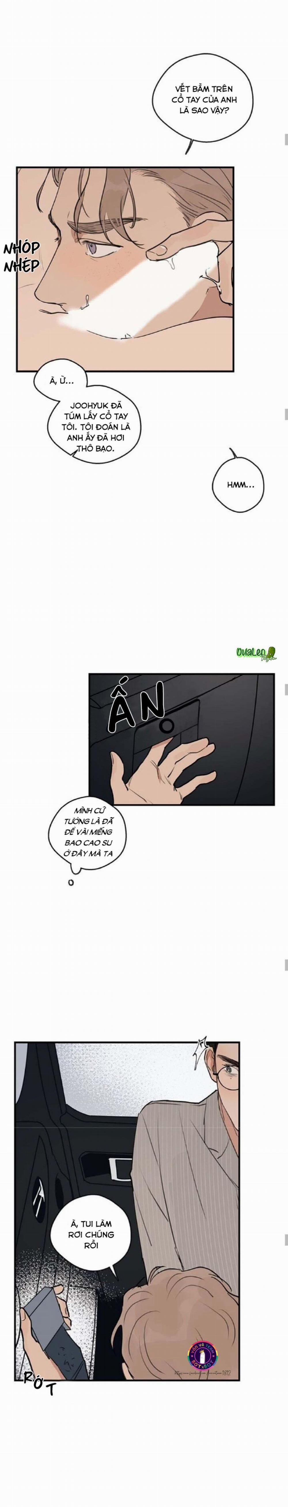 Runway Hit 35 trang 11