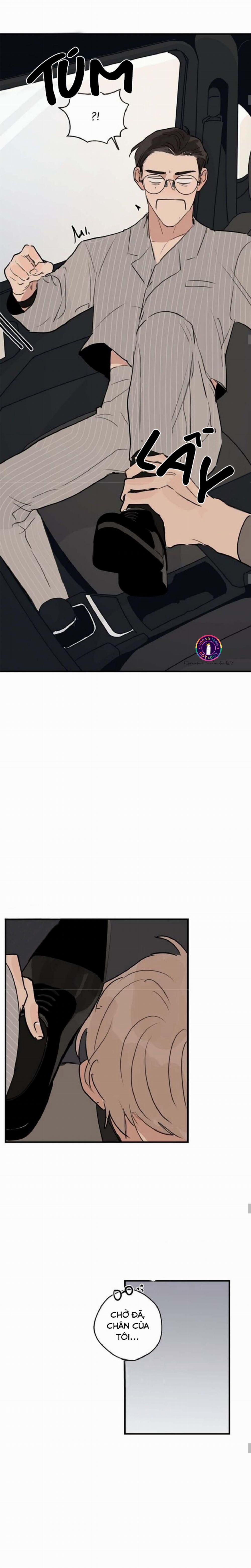 Runway Hit 35 trang 8