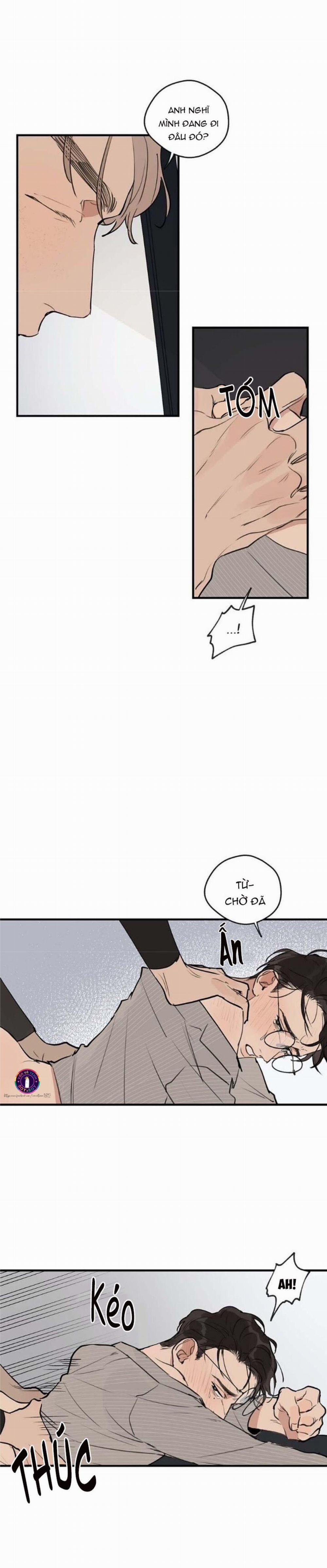 Runway Hit 36 trang 5