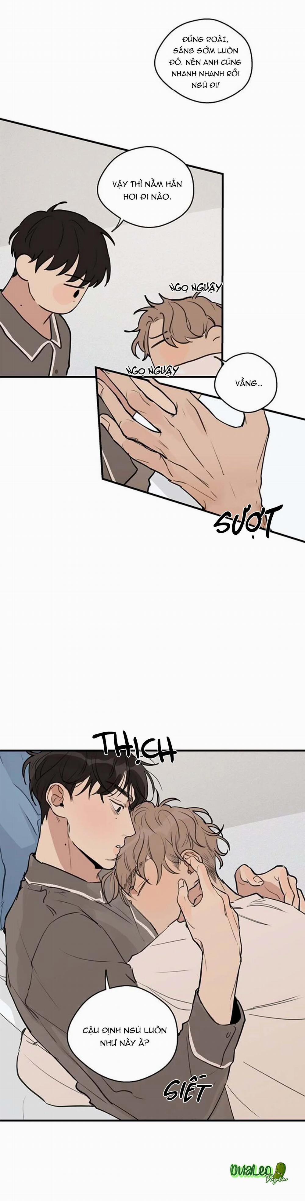 Runway Hit 37 trang 2