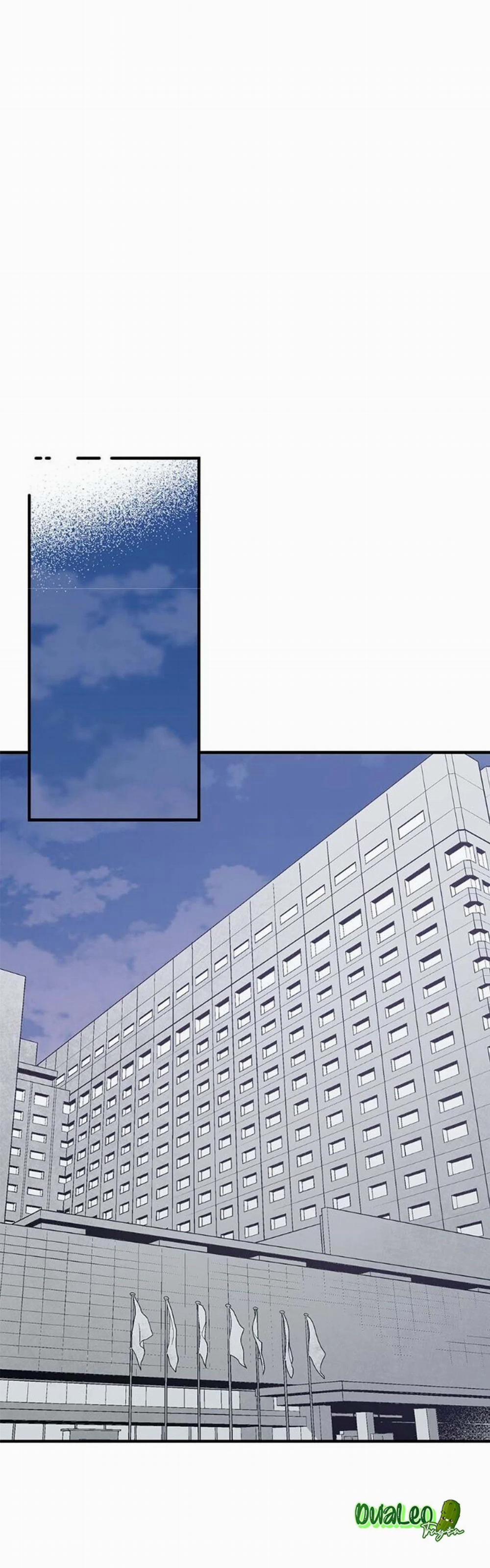 Runway Hit 39 trang 6