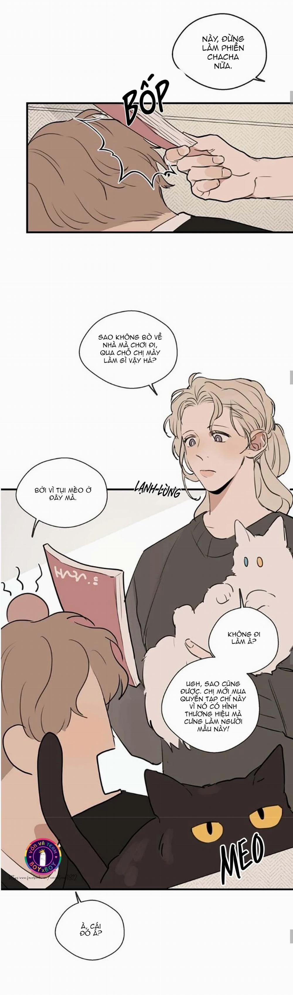 Runway Hit 42 trang 9