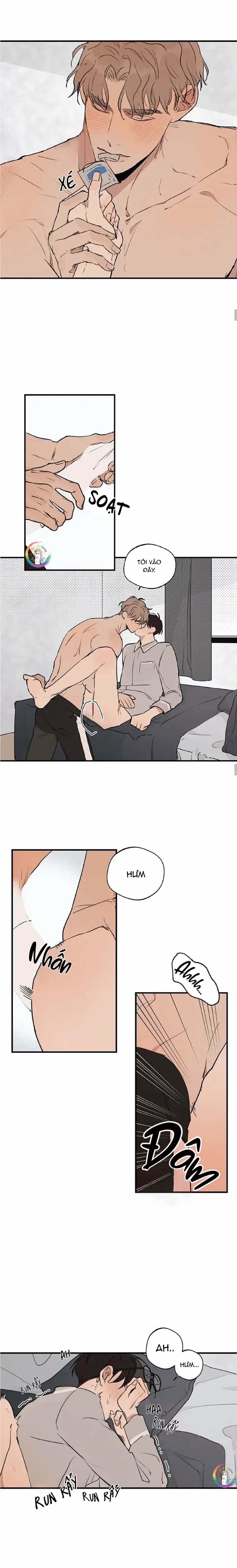 Runway Hit 52 trang 5