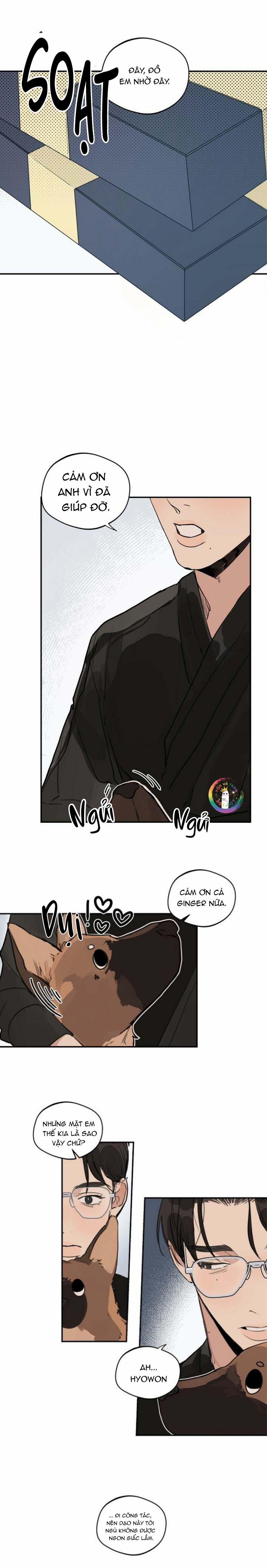 Runway Hit 65 trang 1