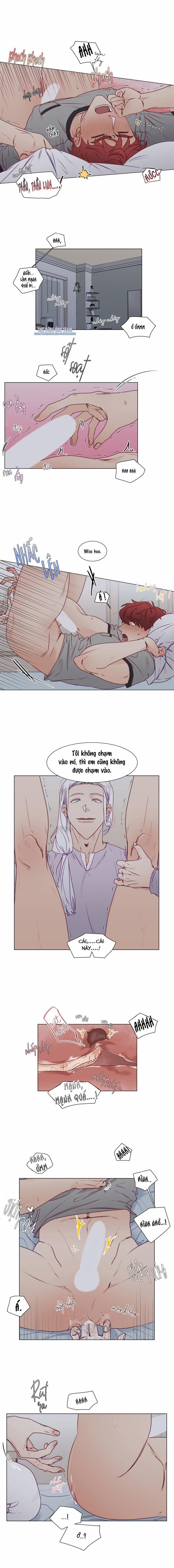 S của thần linh hay S của sự bạo dâm ? 11 trang 5