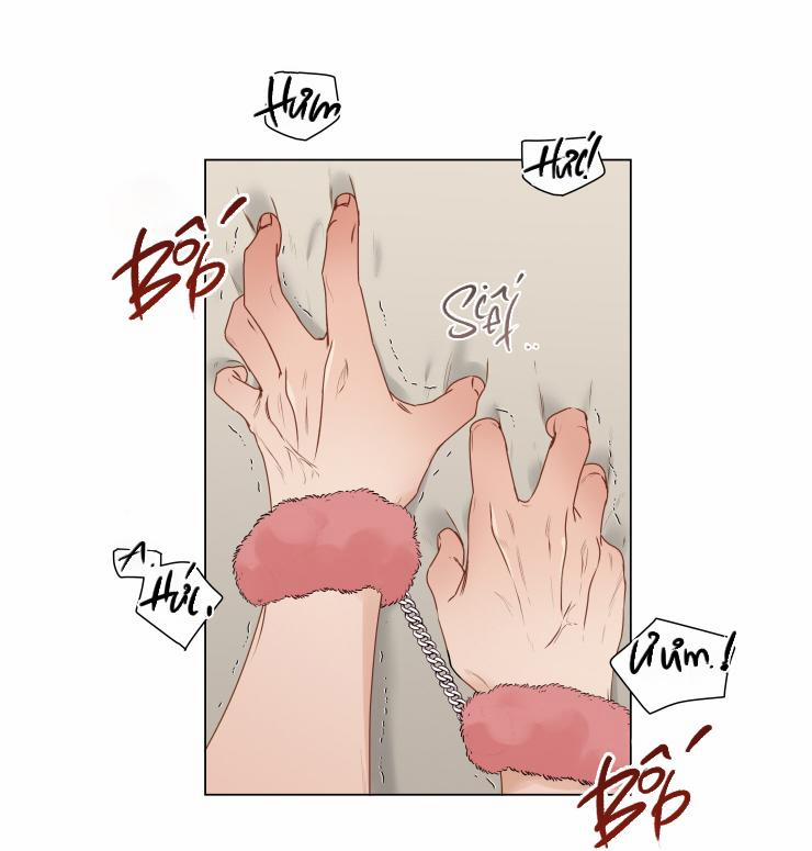 S của thần linh hay S của sự bạo dâm ? 14 trang 54