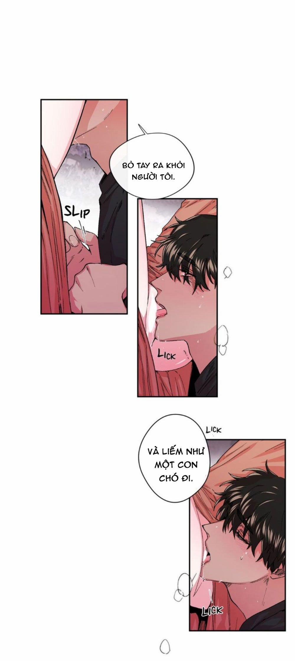 S_Flower 19.1 trang 10