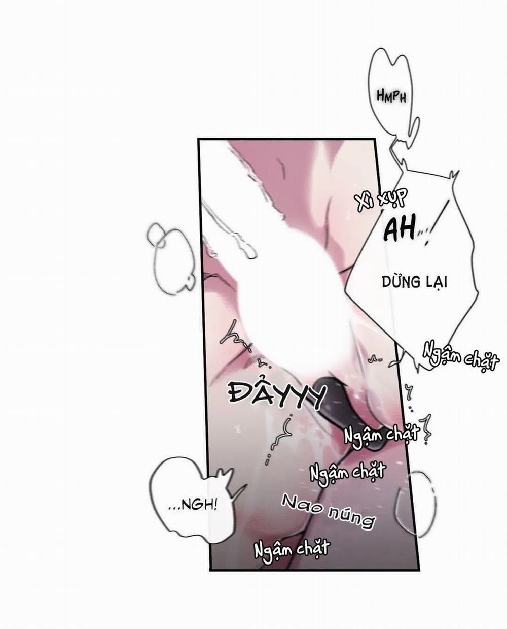 S_Flower 36.2 trang 17