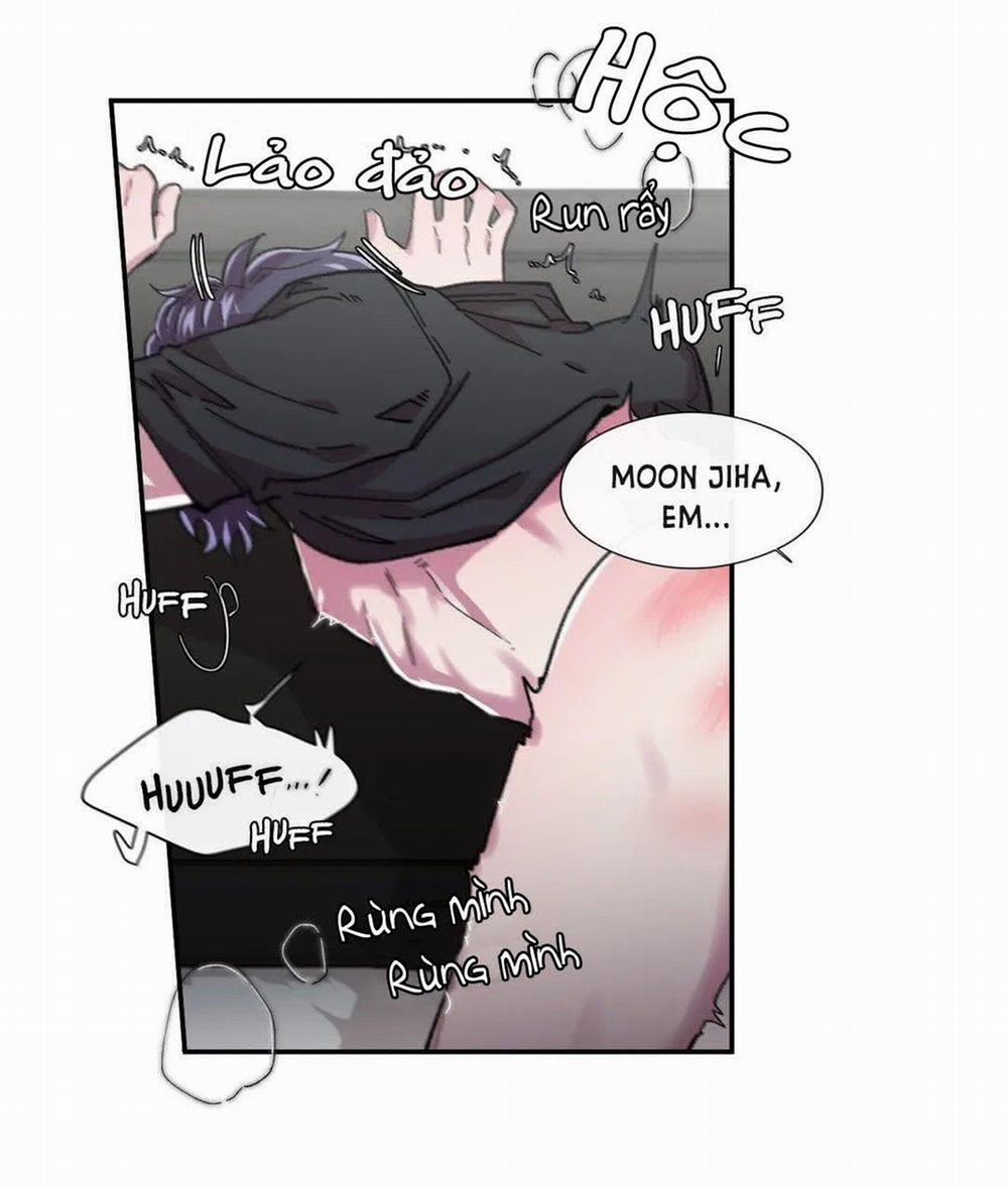 S_Flower 36.2 trang 19