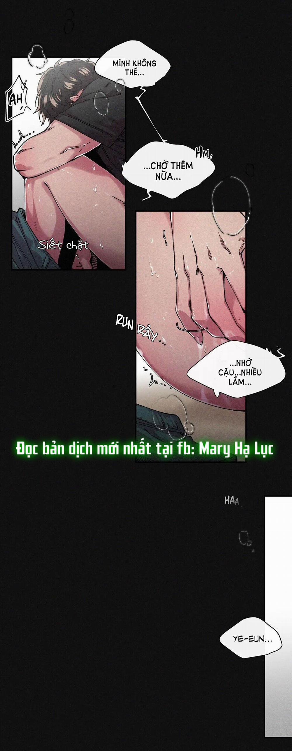 S_Flower 38.1 trang 5