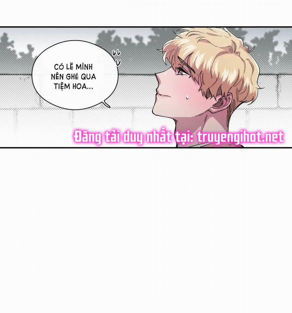 S_Flower 41.2 trang 16