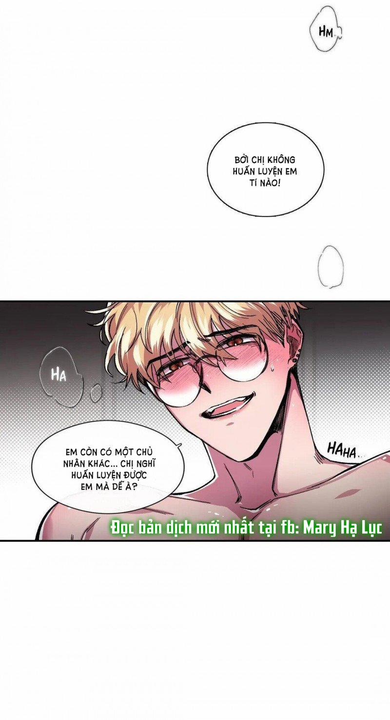 S_Flower 43.1 trang 11