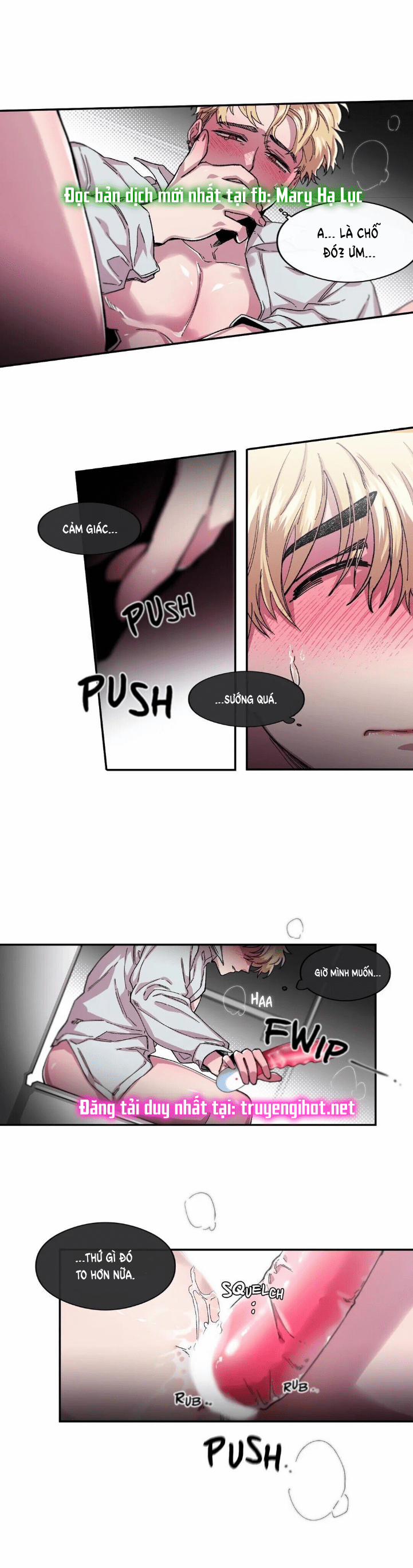 S_Flower 52.2 trang 3