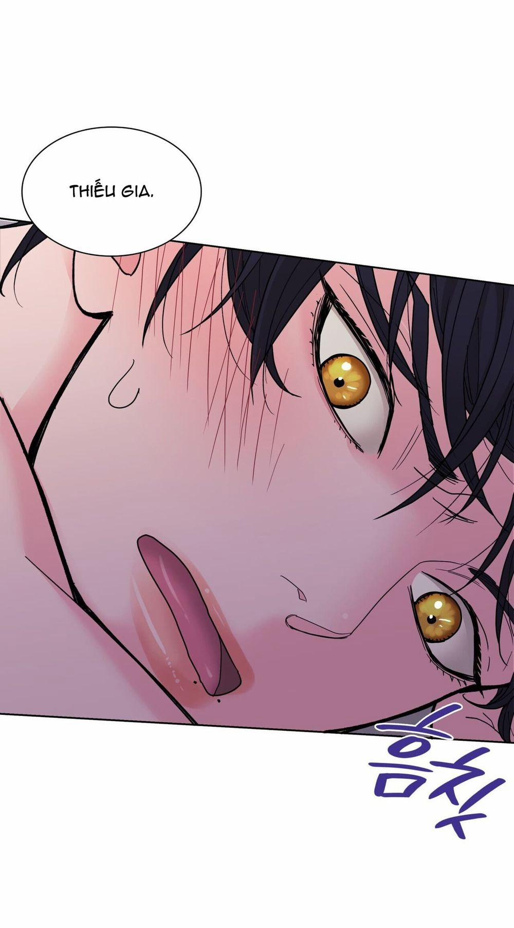 Sa Mạc Ẩm Thấp 12 trang 32