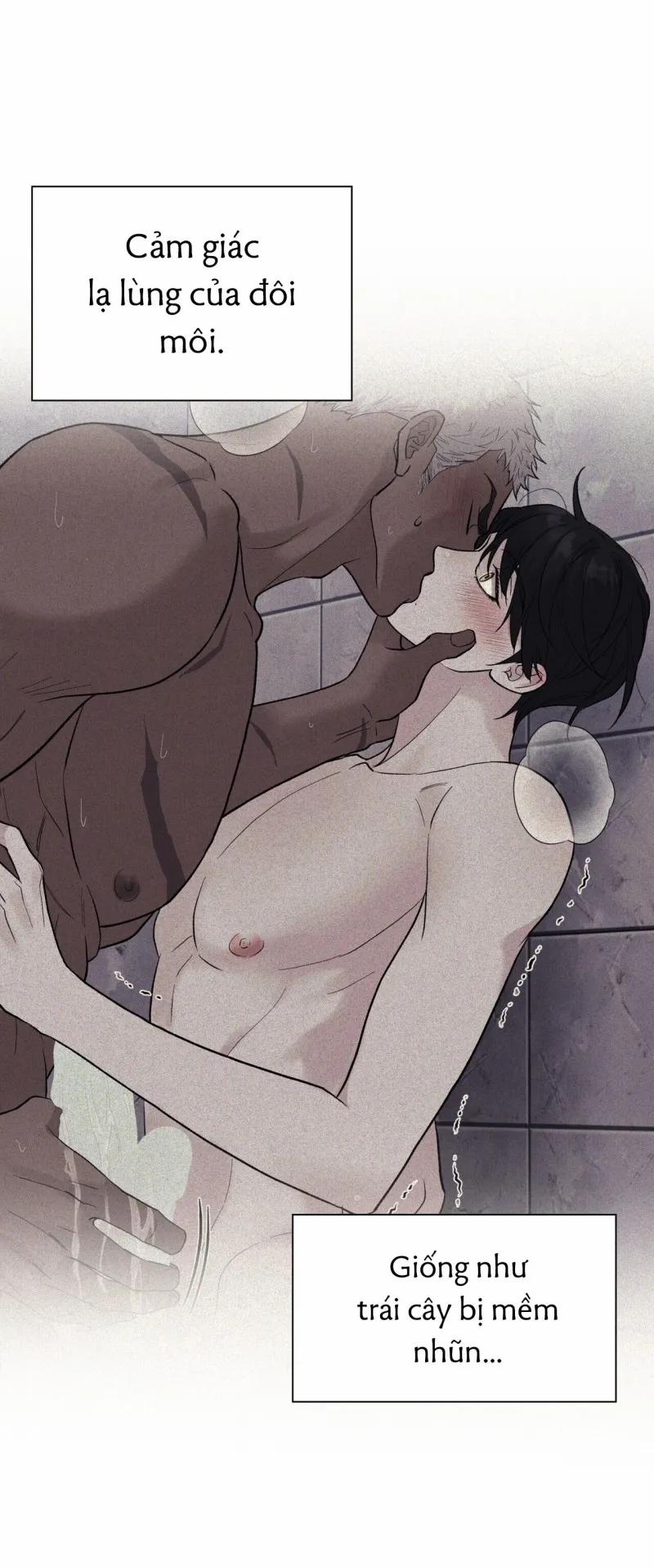 Sa Mạc Ẩm Thấp 19 trang 29