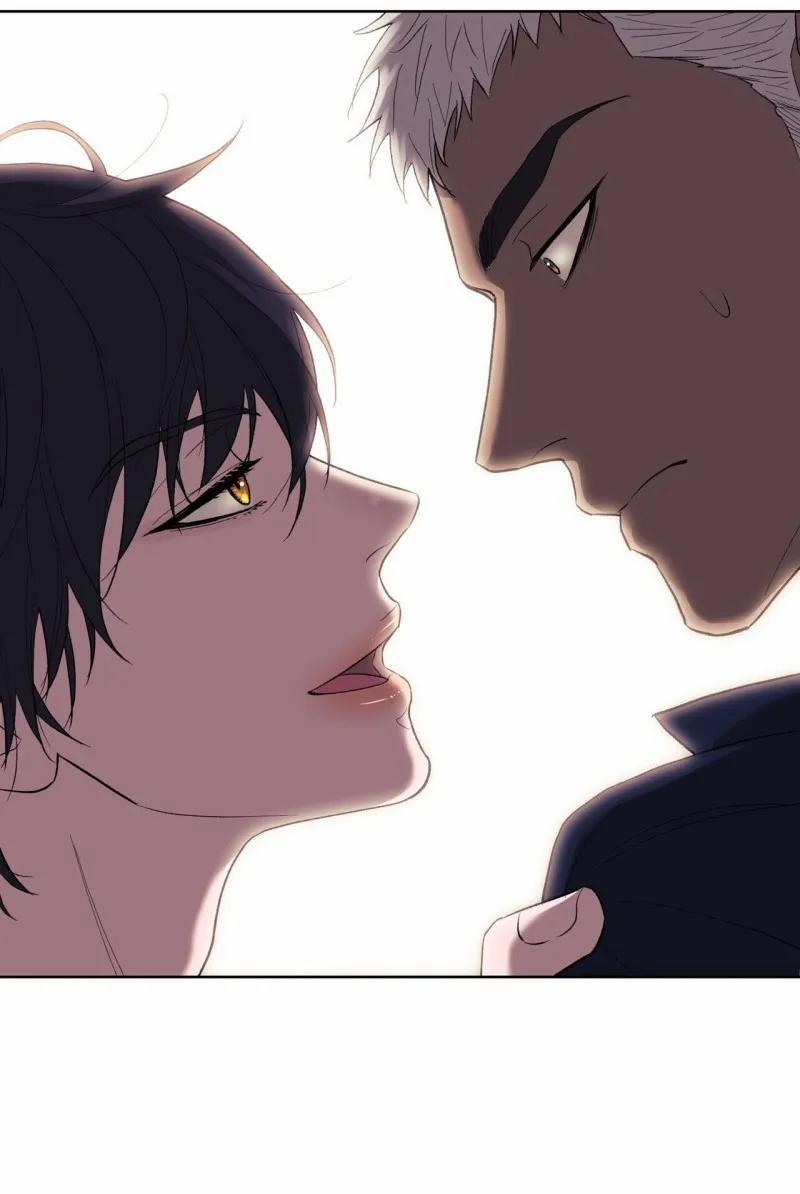 Sa Mạc Ẩm Thấp 19 trang 61