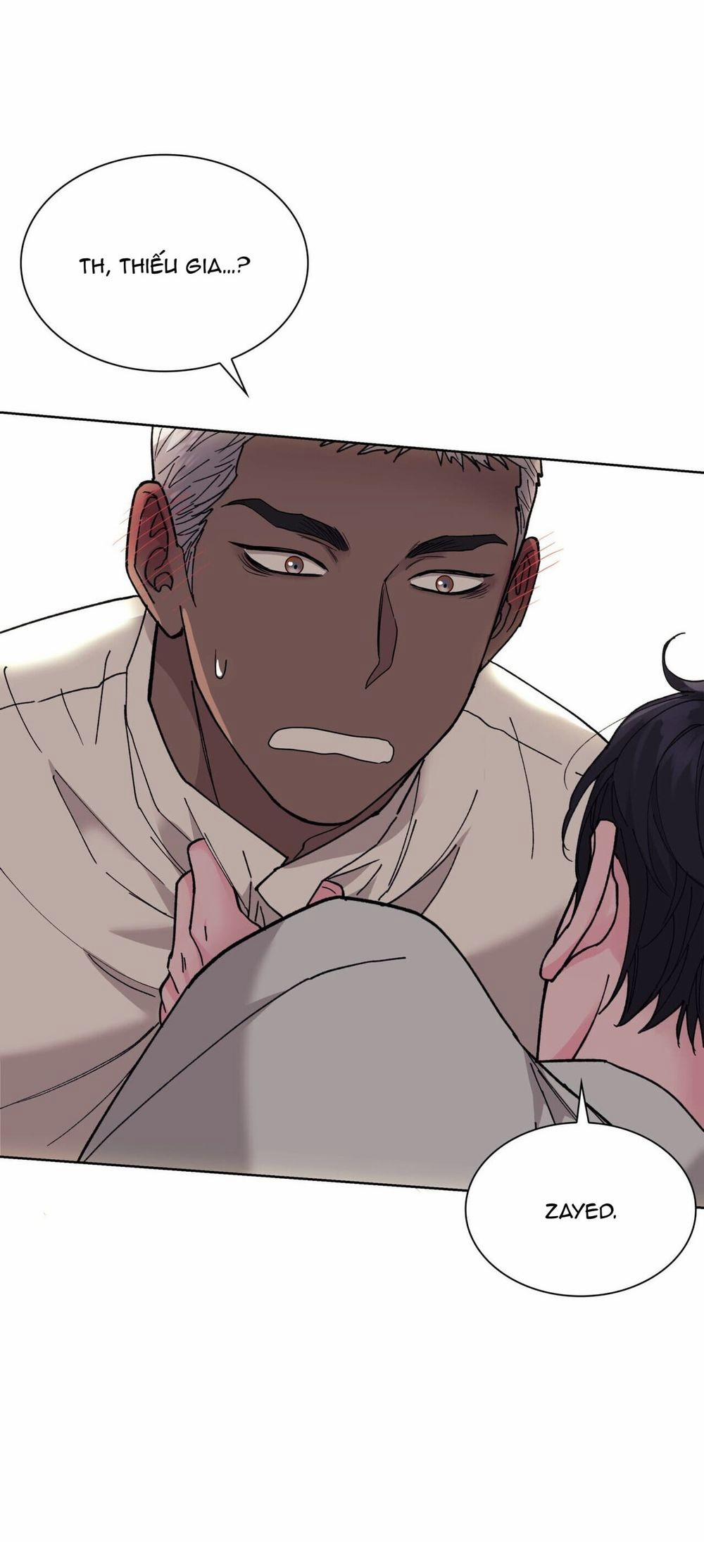 Sa Mạc Ẩm Thấp 3 trang 28