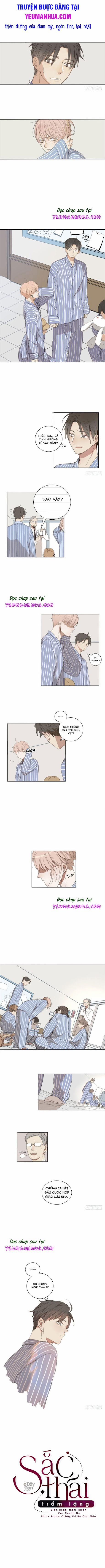 Sắc Thái Trầm Lặng 3 trang 0