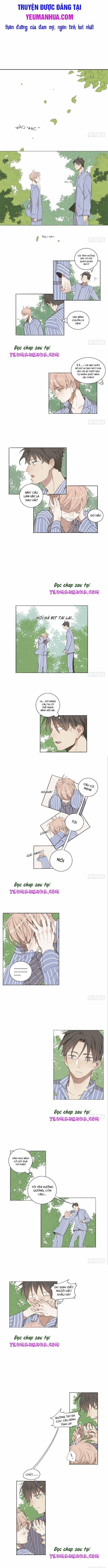 Sắc Thái Trầm Lặng 3 trang 1