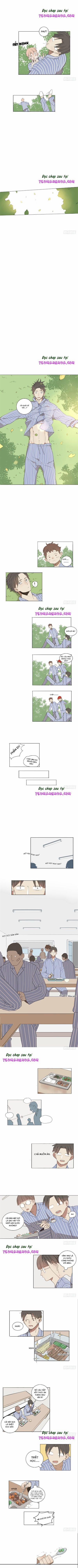 Sắc Thái Trầm Lặng 3 trang 2