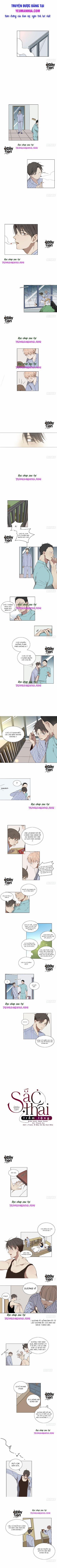 Sắc Thái Trầm Lặng 4 trang 0