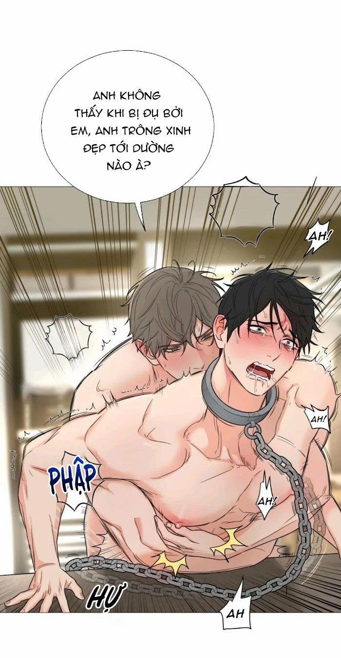 Sadistic Beauty Bl Sidestory 5.2 trang 7