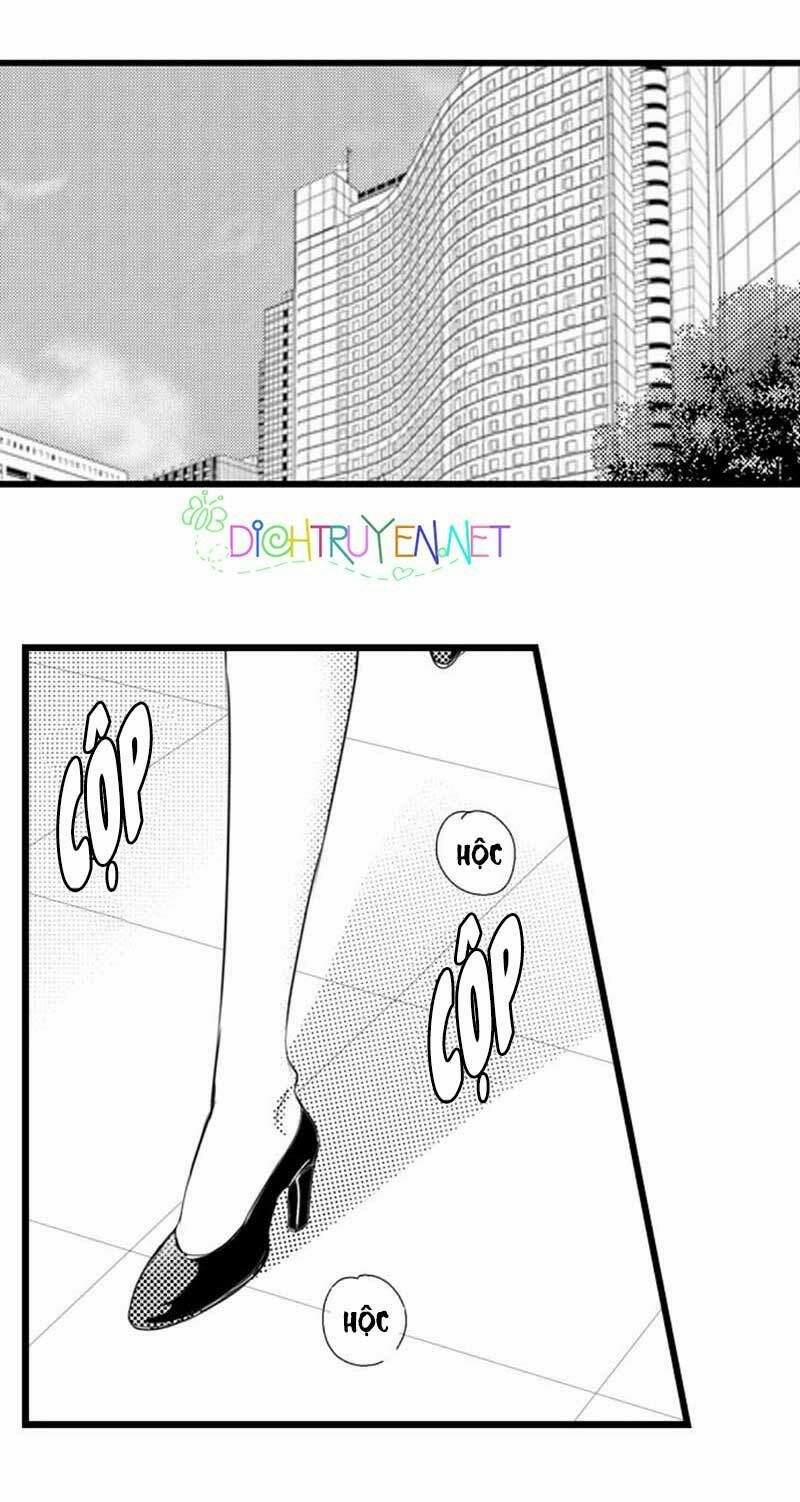 Sai Rồi, Sếp Tây Nhà Tôi Không Phải Là Quý Ông Đâu! 1 trang 1